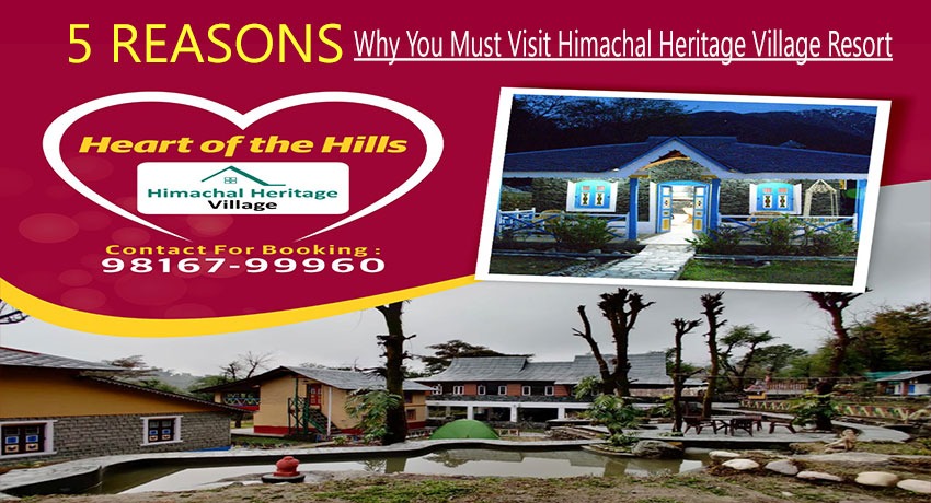 5 Reasons why you must visit Exotic and Luxury Resort Himachal Heritage Village situated in the heart of a Hill Station named Palampur, Himachal Pradesh!!