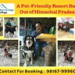 Pet Friendly Resort In Palampur