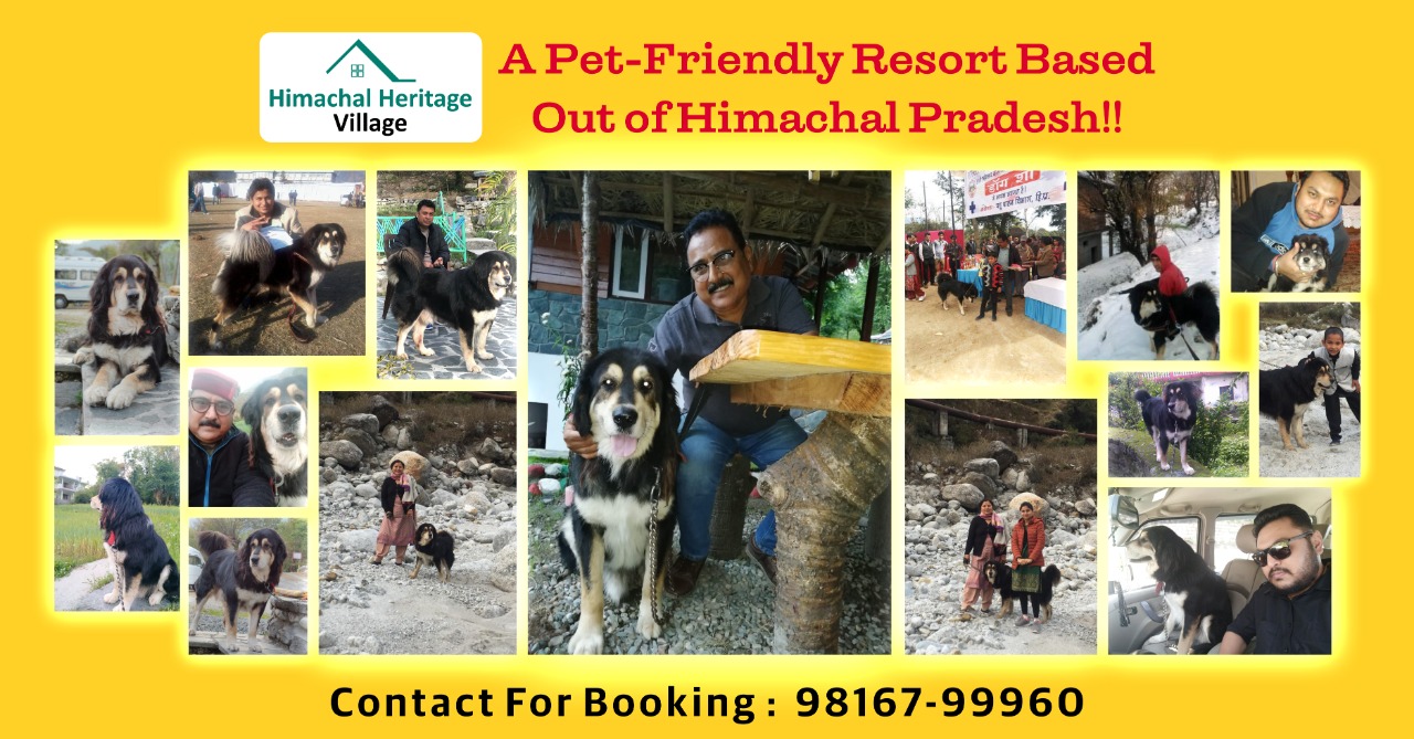 Himachal Heritage Village – A Pet-Friendly Resort Based Out of Himachal Pradesh!!